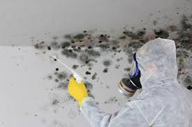 Professional Mold Removal in Irwindale, CA